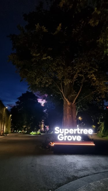 가든스 바이 더 베이 슈퍼 트리 쇼