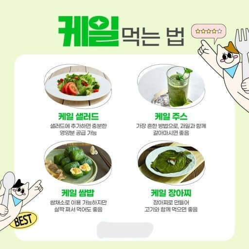 효과적인 케일 섭취방법