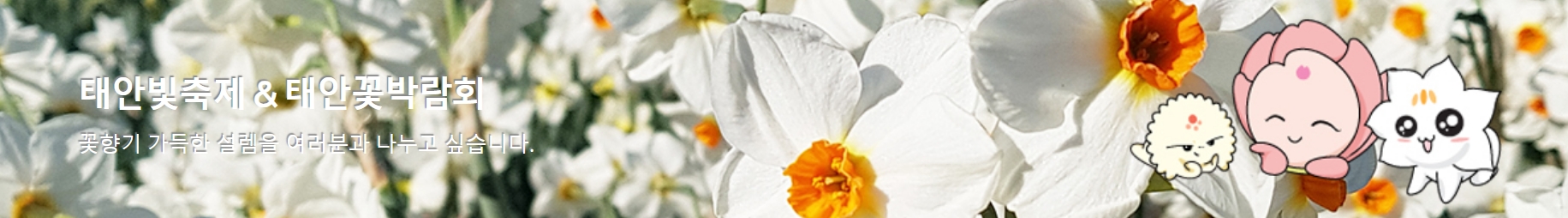 태안 봄꽃정원 &amp; 태안빛축제｜하루가 두 번 예쁜 곳