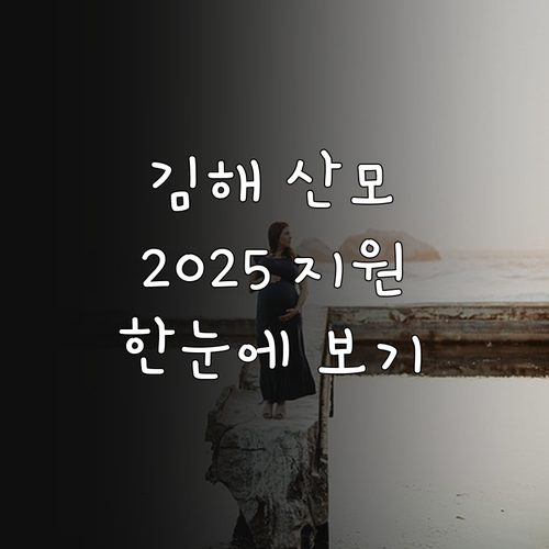 김해시 2025 산모·신생아 지원: ..
