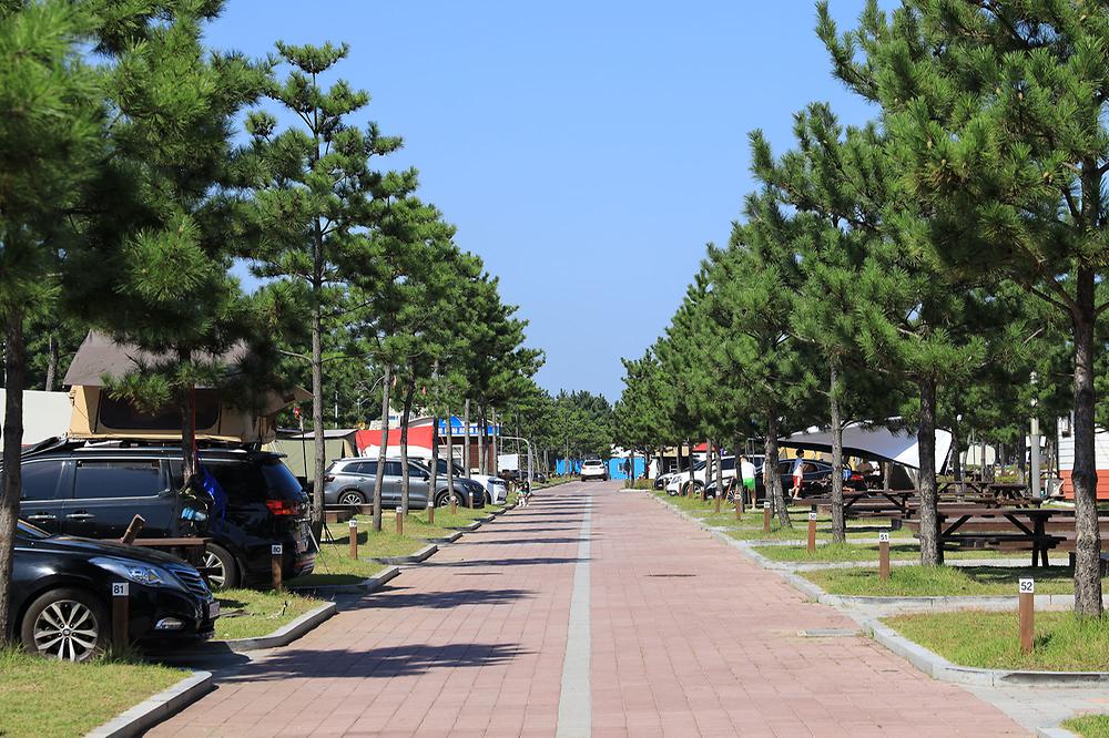 고성군 봉수대오토캠핑장 소개