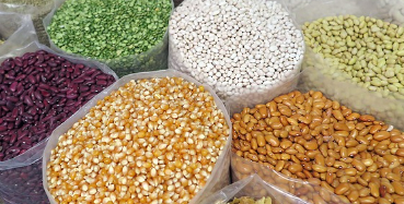 루피니빈 부작용