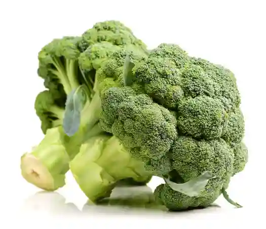 철분이 많은 음식 Best 10