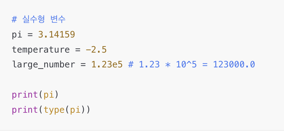 파이썬 실수형 변수 예시