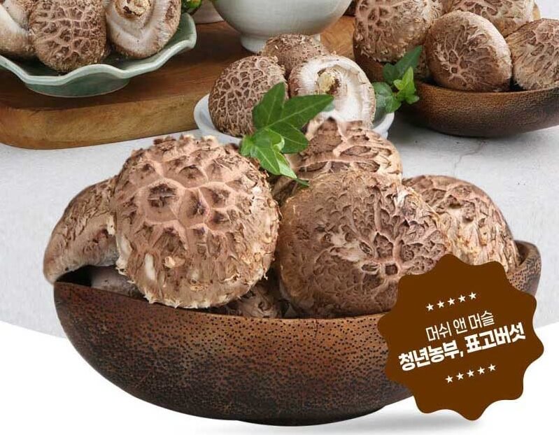 생방송투데이 3806회 넘사벽의 비밀 1억 매출&amp;#44; 버섯 농사짓는 근육맨 편 머쉬앤머슬 버섯 주문방법