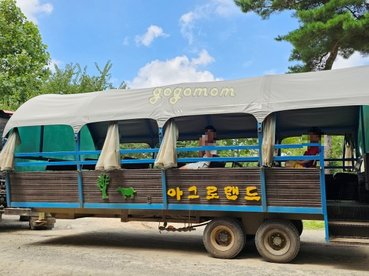 아그로랜드 트랙터기차