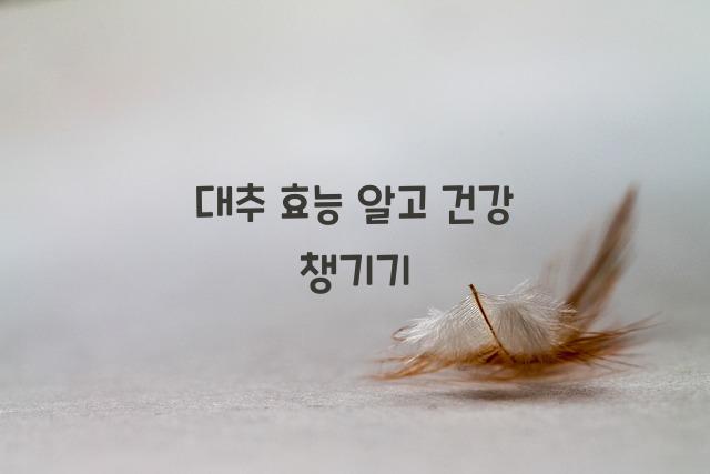 대추 효능