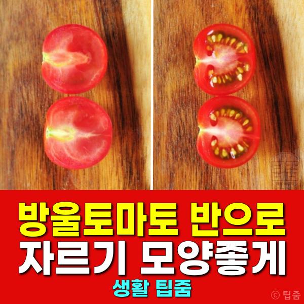 방울토마토 자르는법