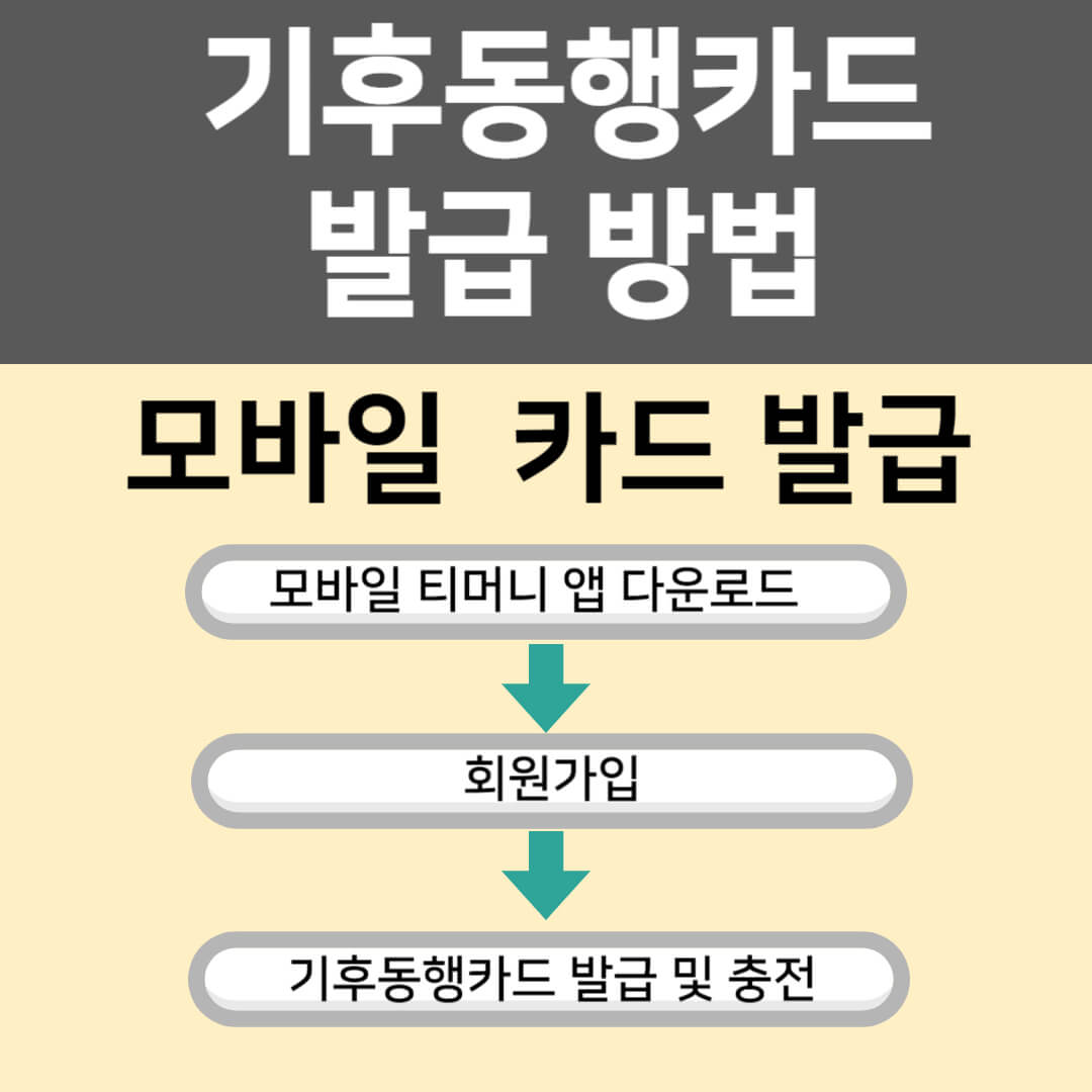 기후동행카드