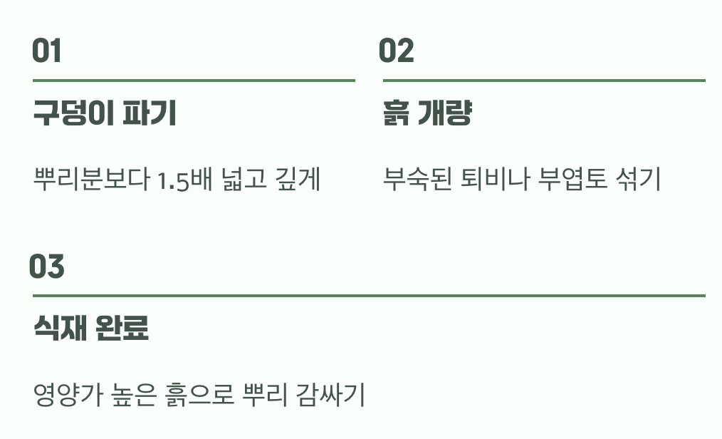 비결 2. 튼튼한 집 지어주기 (흙과 심기)