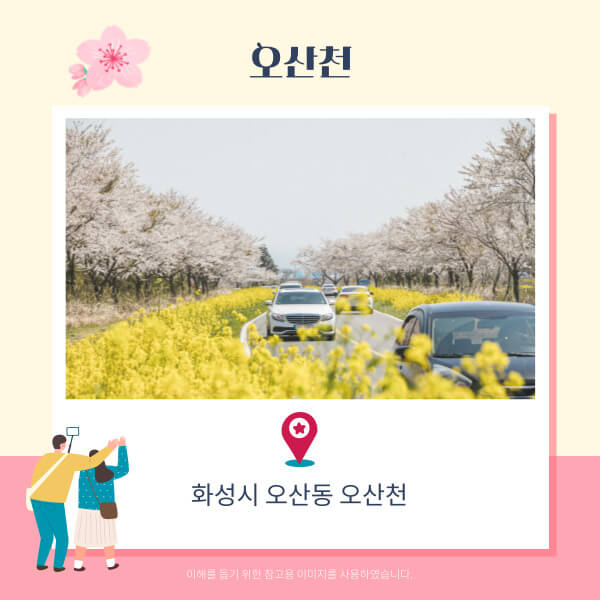 화성벚꽃명소-오산천