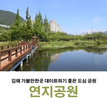 김해 가볼만한곳 추천 카페 맛집 반려견 최신_17