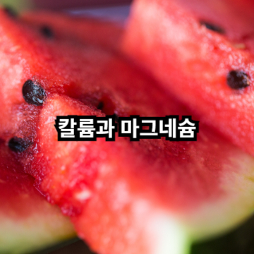 수박 칼륨과 마그네슘