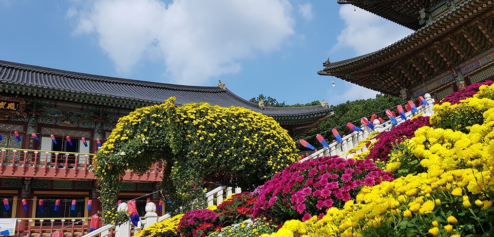 분당 대광사 : 분당 도심 속의 극락정토 동양 최대 규모의 미륵보전과 국내 최고 높이의 미륵불 좌상