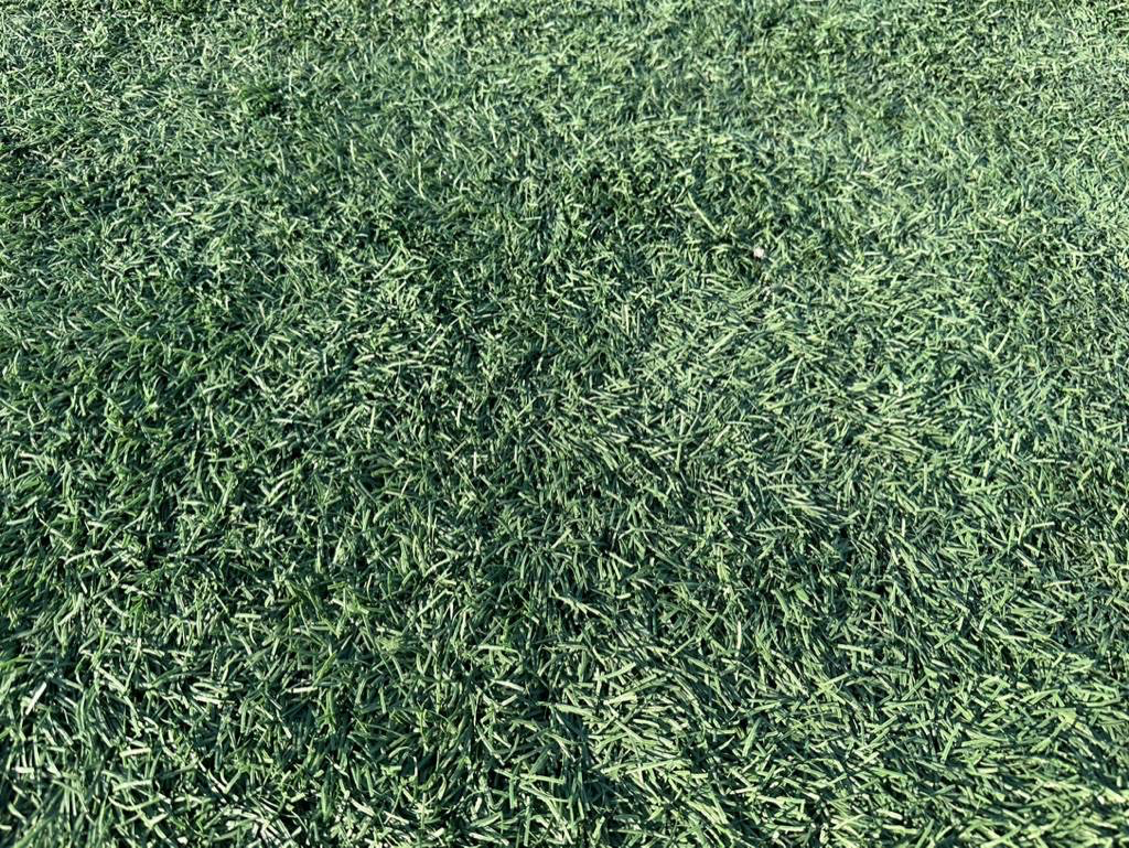 그린파크 잔디 상태