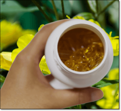 공액리놀레산이 풍부한 달맞이꽃 종자유