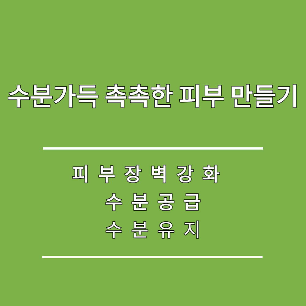 촉촉한 피부 피부장벽강화 수분유지