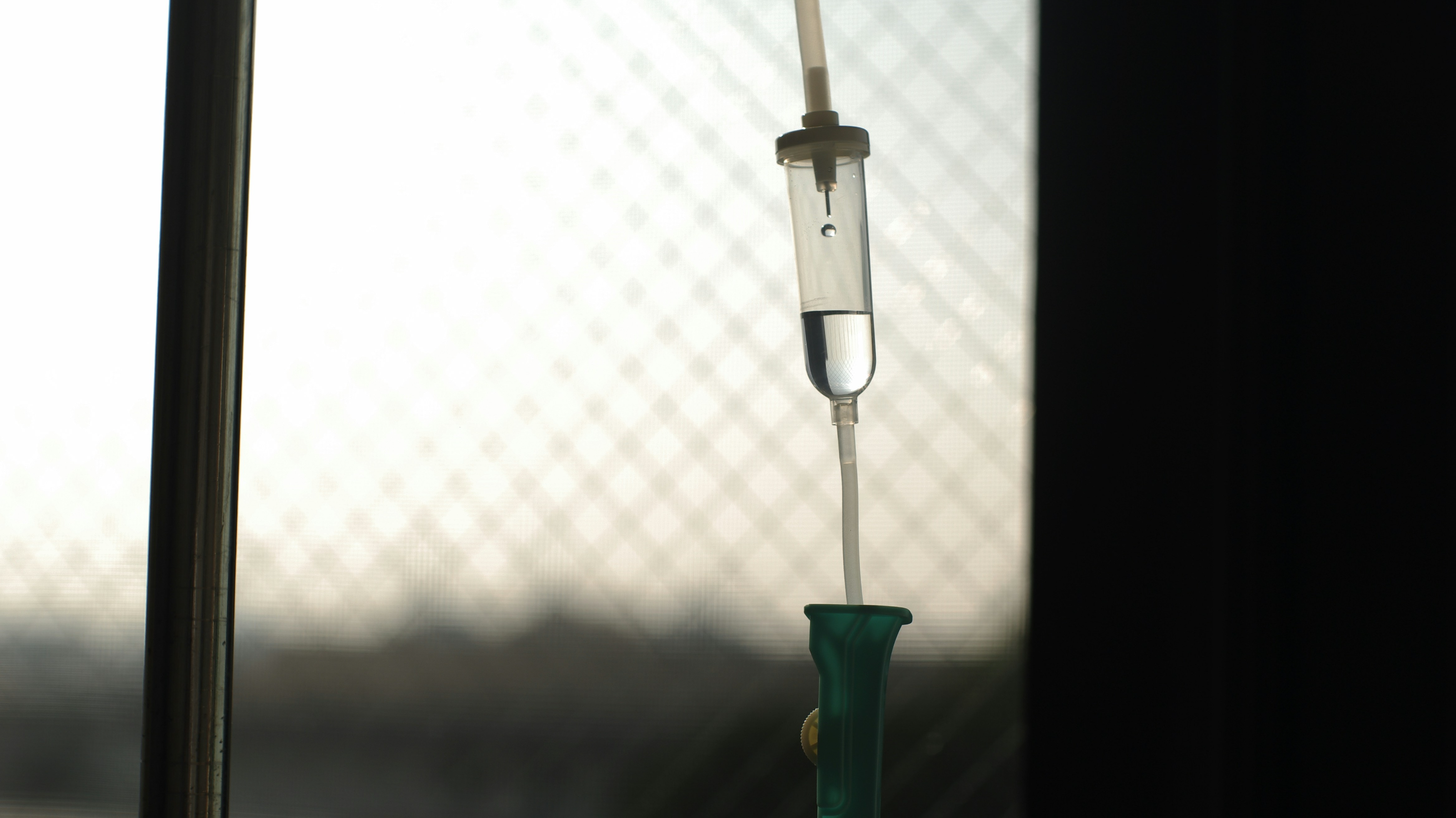 수액이 떨어지고 있는 모습