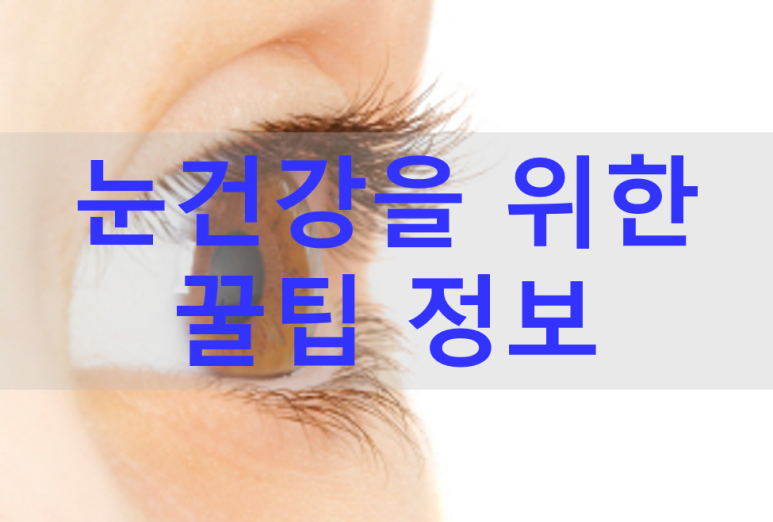 눈 건강을 위한 꿀팁정보