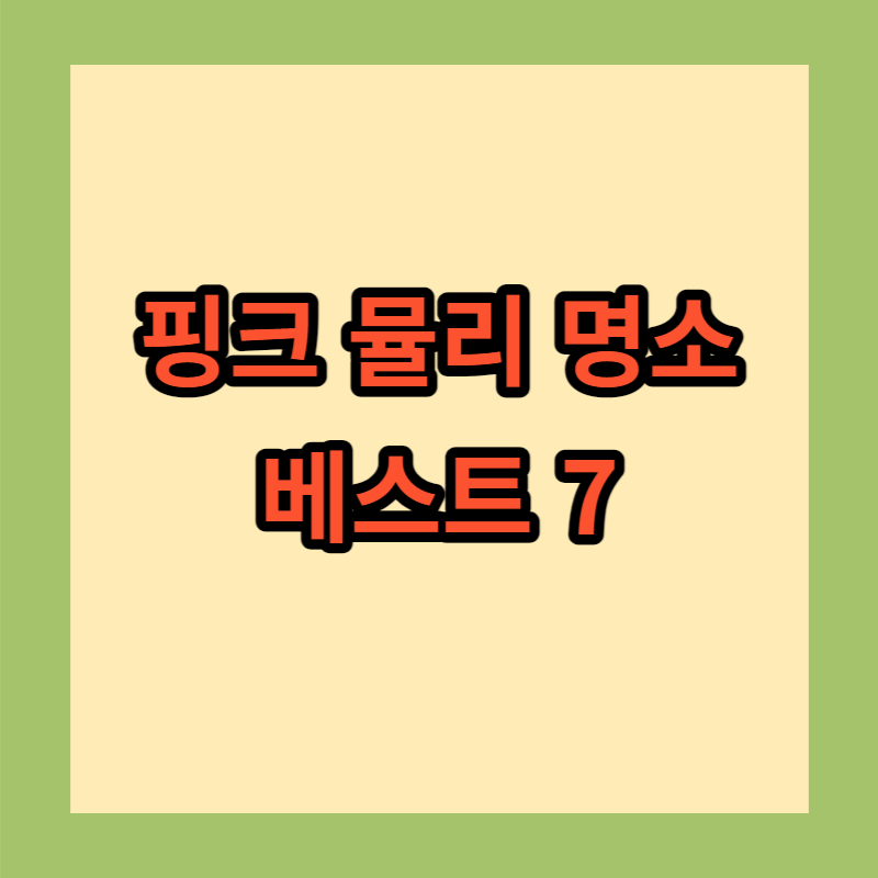 핑크뮬리 명소