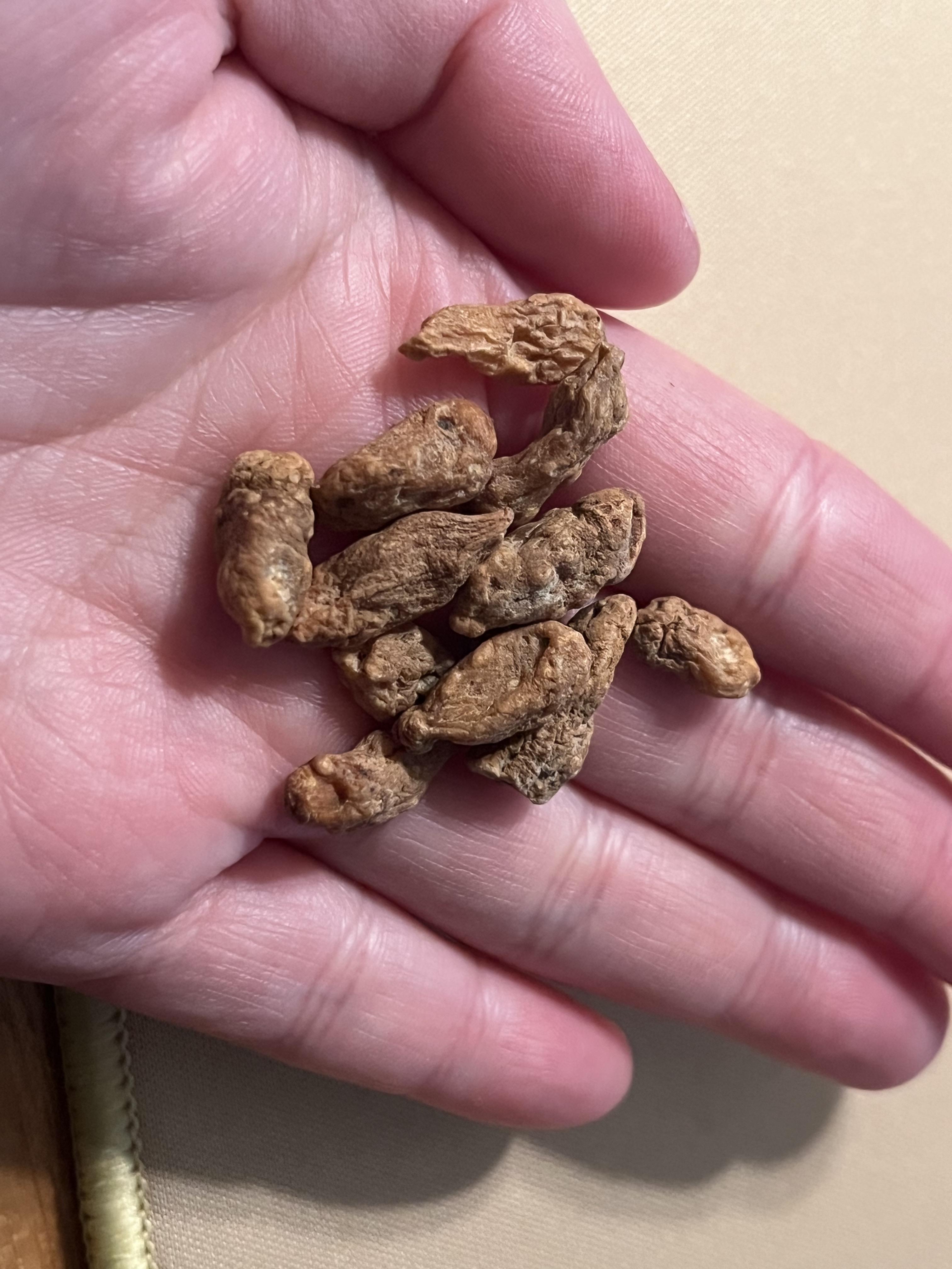 볶은맥문동 맥문동효능 맥문동탕 맥문동먹는방법