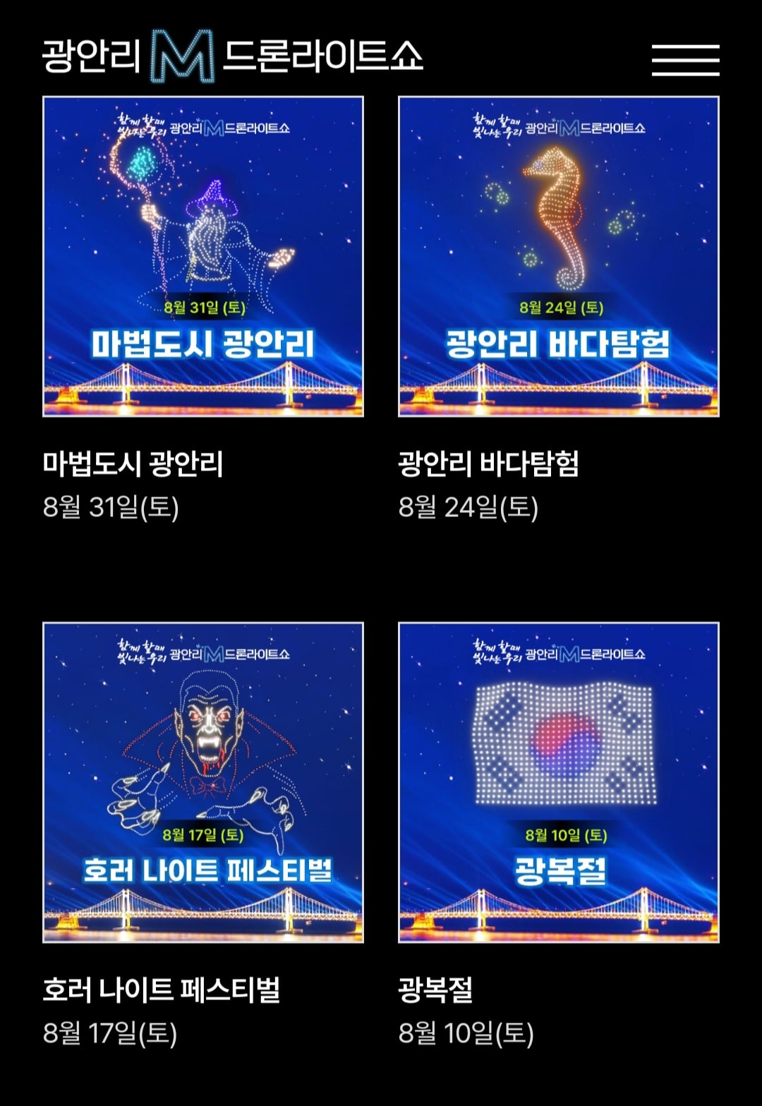 드론 라이트쇼 사진