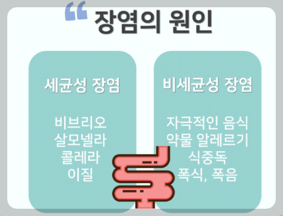 장염원인