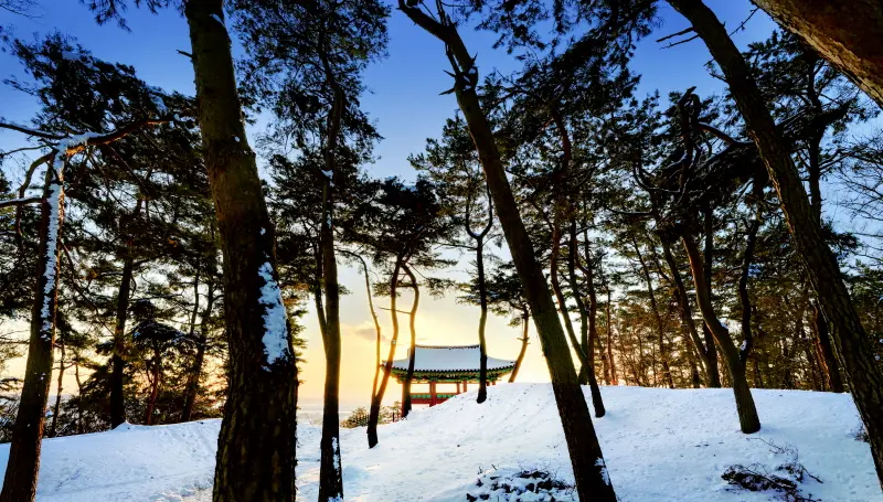 부모님과 떠나는 부여 효도 여행 코스