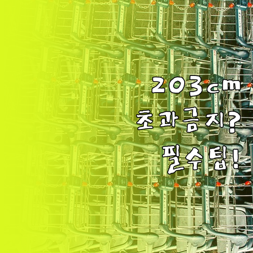 피치항공 위탁수하물 3변 합 203c..