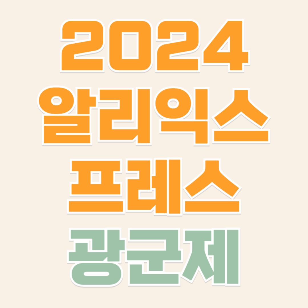 알리익스프레스 광군제