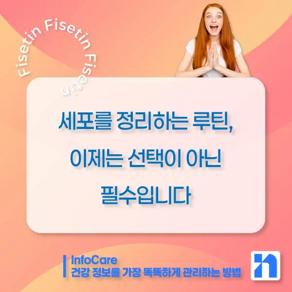 피세틴 효능 항산화 저속노화 노화방지 세놀리틱