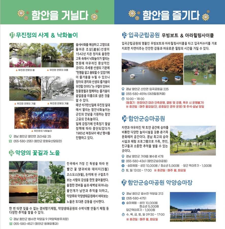함안-강주-해바라기축제