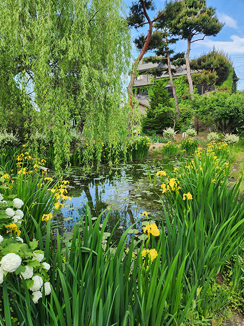 충북 옥천 천상의정원 수생식물학습원, 예약 필수 힐링 민간정원 총정리!
