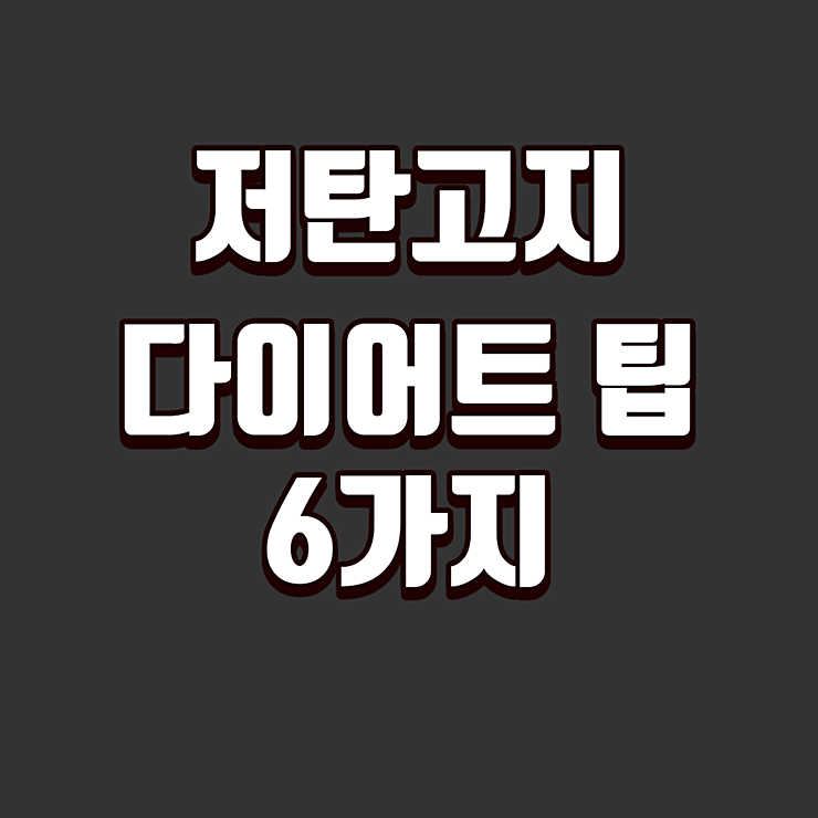 저탄고지 다이어트 팁 6가지