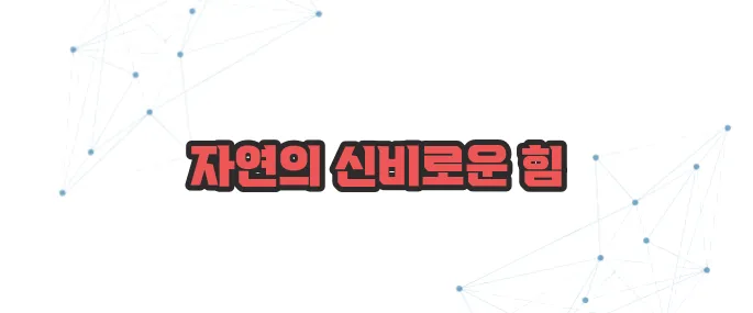 비단풀 효능 이보다 자세히 설명할순없다