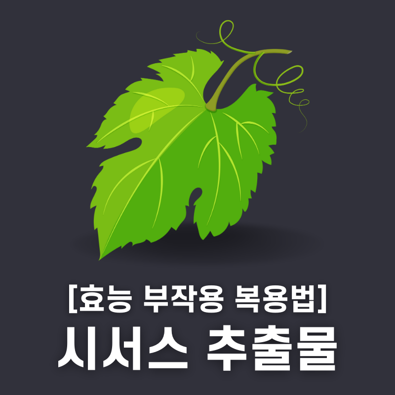 시서스 효능 부작용 복용 방법