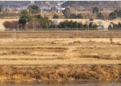 임진각 케이블카 곤돌라 가격