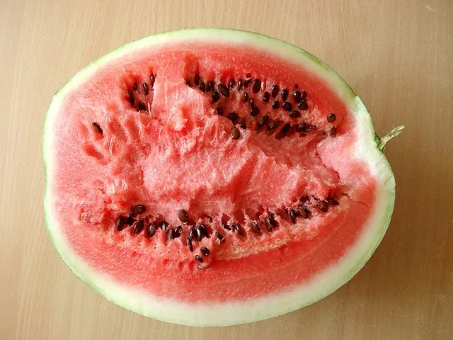 가족 호칭 정리표 촌수까지 한번에_3