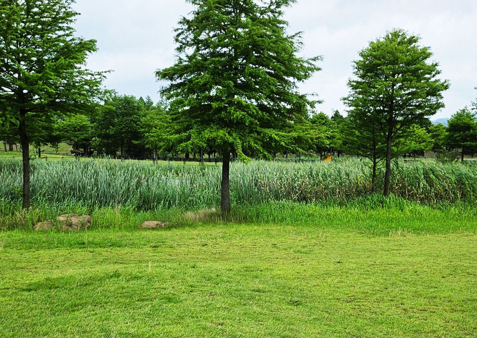 함평파크골프장, 함평엑스포공원나비파크골프장