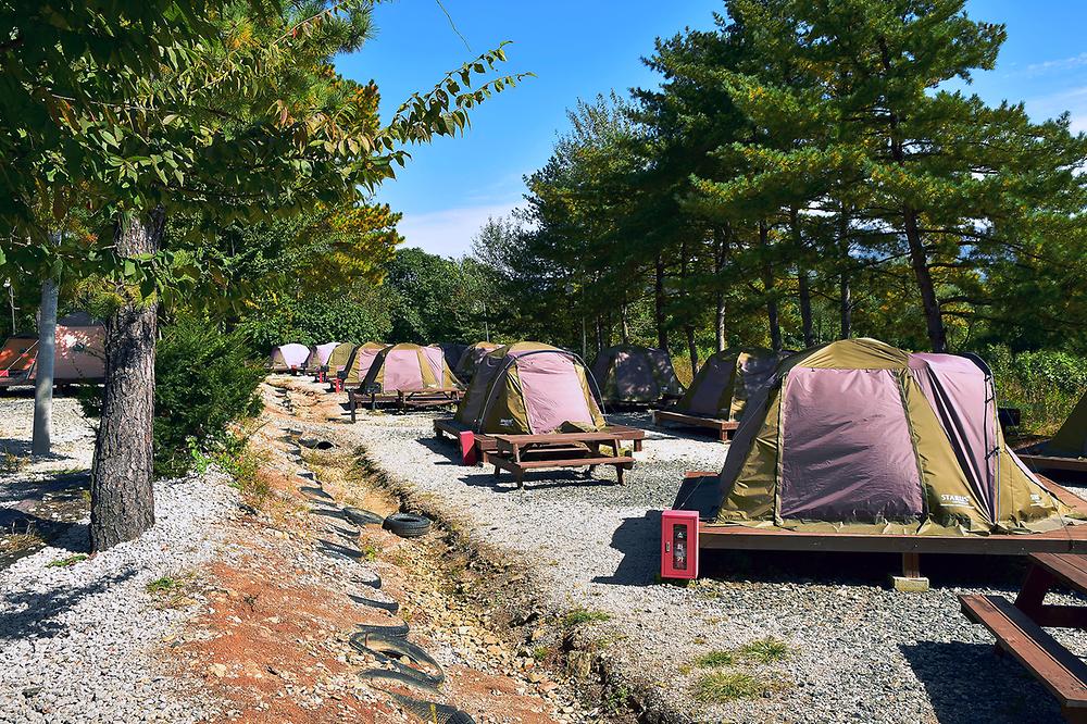 포천자연마을 서울캠핑장 예약