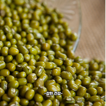 녹두 효능 명불허전