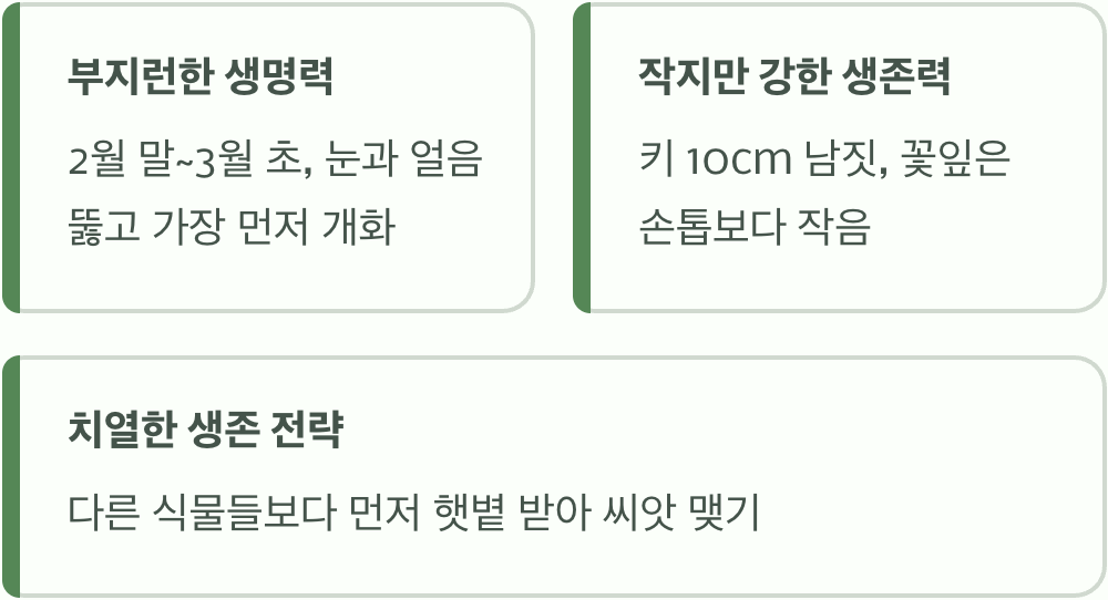 봄을 여는 가장 작은 거인