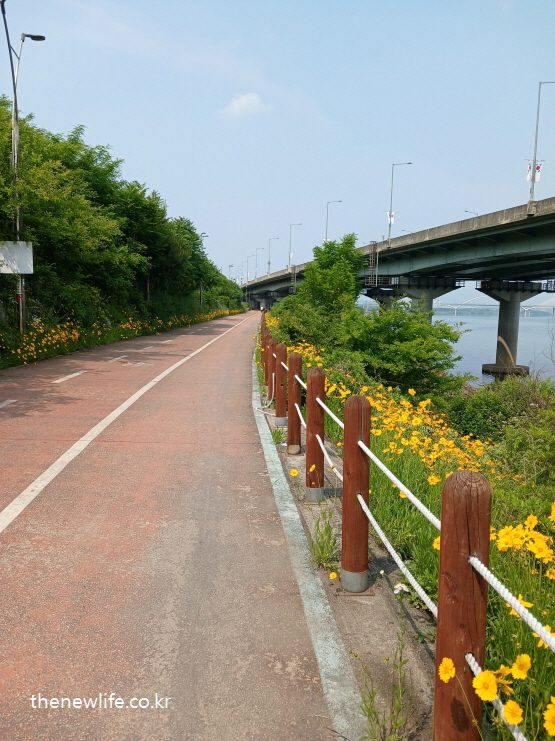 강변 자전거 도로를 따라 이어지는 아스팔트 길