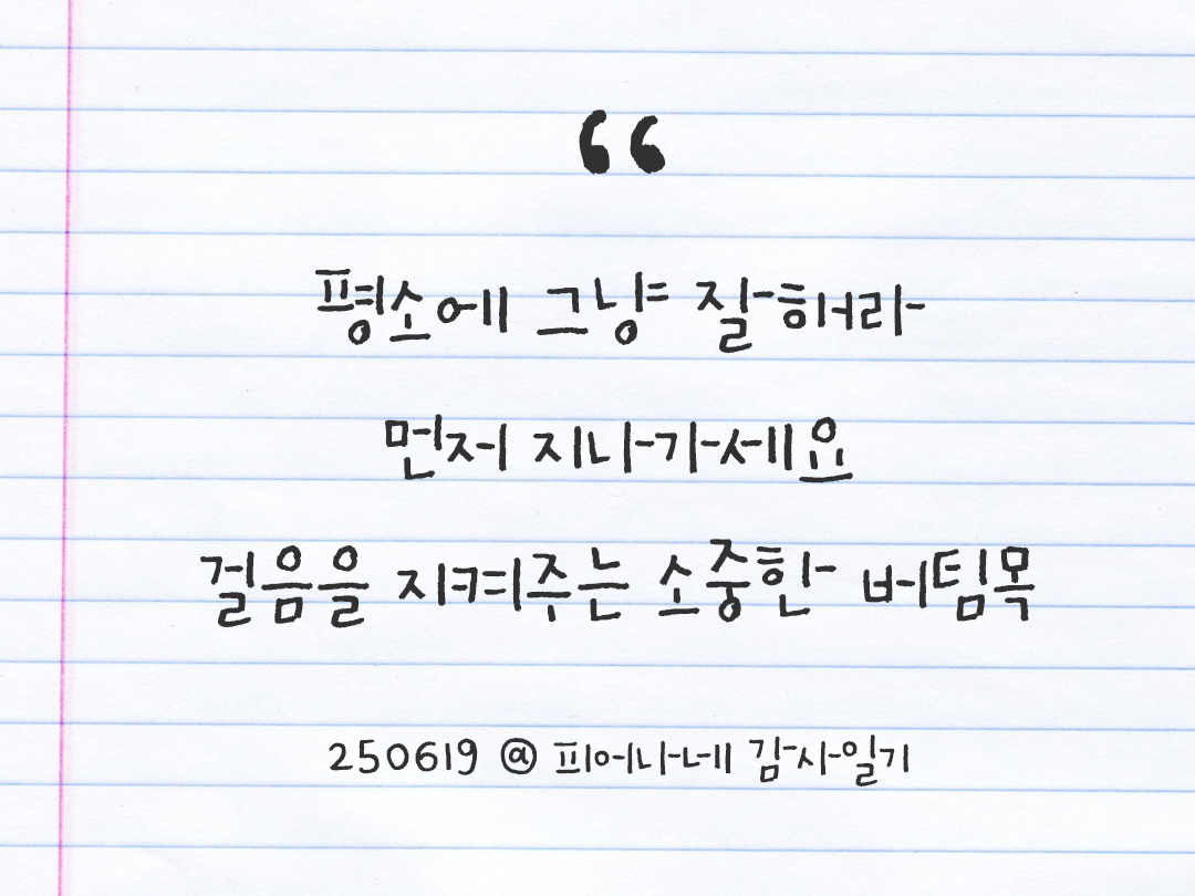 25년 6월 19일 오늘 내 마음 기록하기 감사노트, 감사를 통해 발견한 행복, 오늘 감사한 순간들 by 피어나네 감사일기