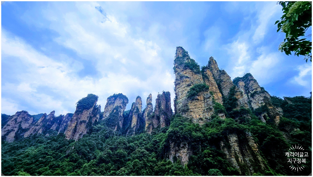 중국 장가계 원가계 백룡 엘리베이터