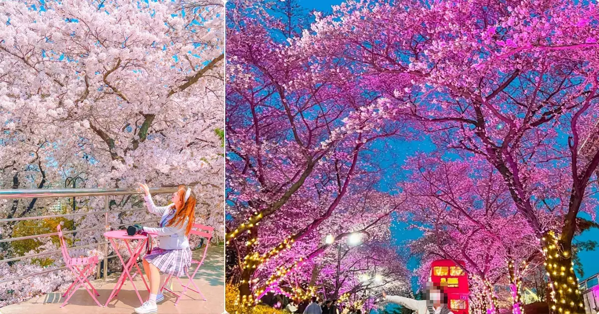 4월 봄꽃 축제 - 이월드 블라썸 피크닉