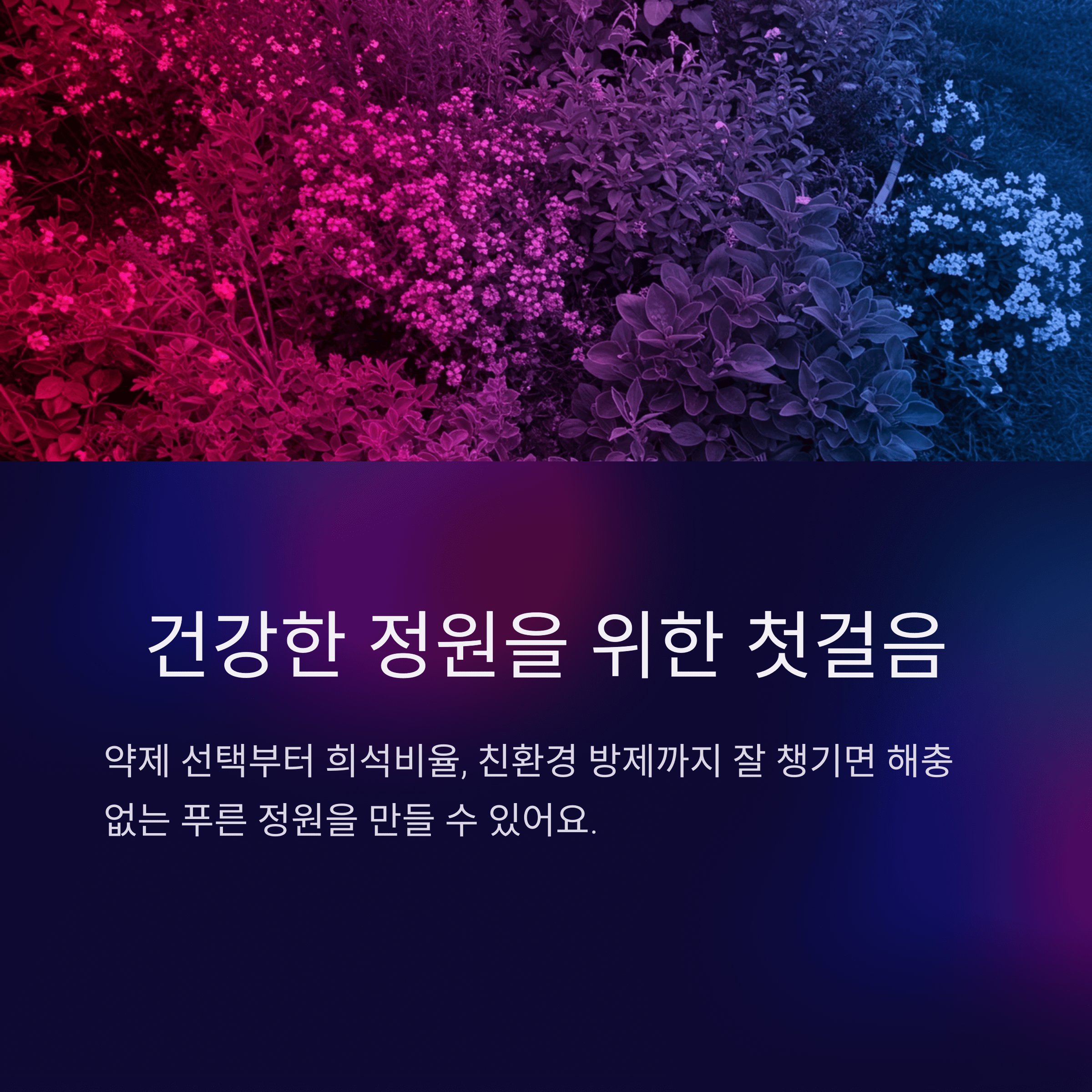 잔디 해충 방제 약제 선택법