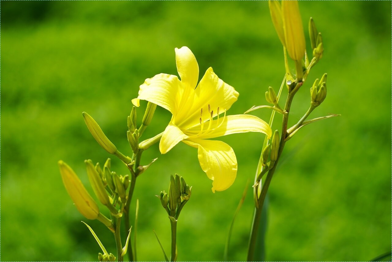 우체국 적금 금리