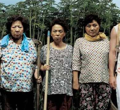 김수미 별세&#44; 김수미 건강 이상&#44; 전원일기 일용엄니&#44; 수미네 반찬&#44; 김수미 김치 사업&#44; 김수미 가족&#44; 한국 배우 별세