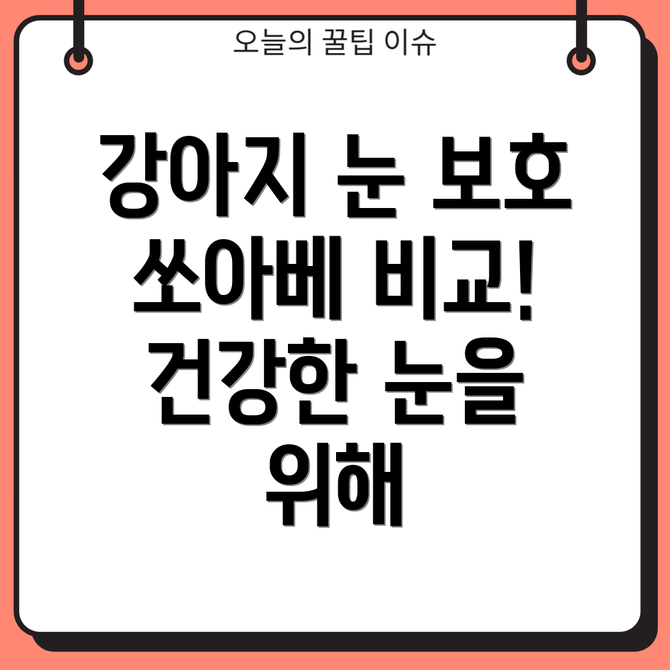 강아지 눈 건강